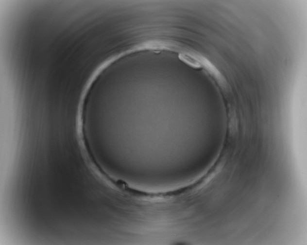 X0000099950896200805231319