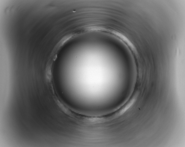 X0000099950897200805231319