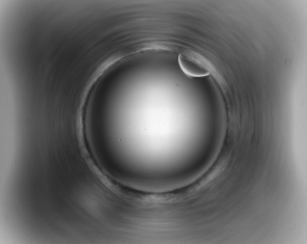 X0000099950898200805231319