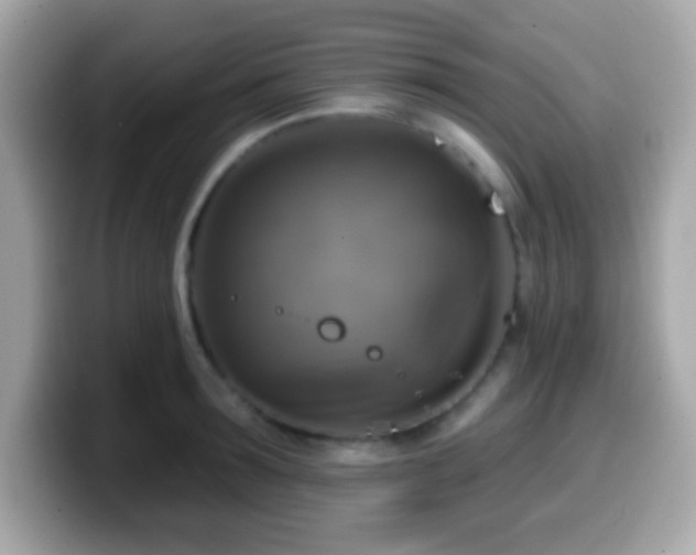 X0000099950899200805231319