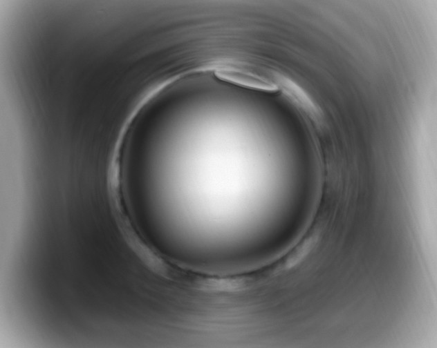 X0000099950900200805231319