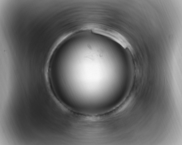 X0000099950901200805231319