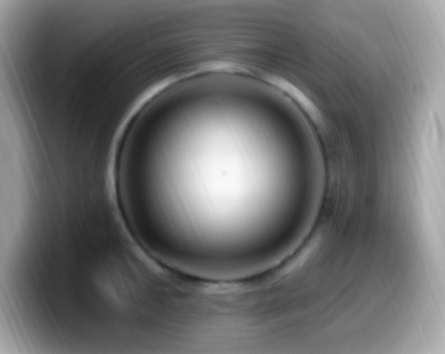 X0000099950902200805231319