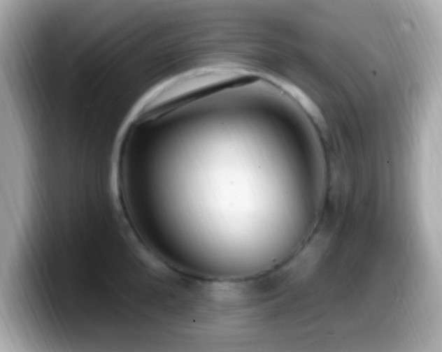 X0000099950904200805231319