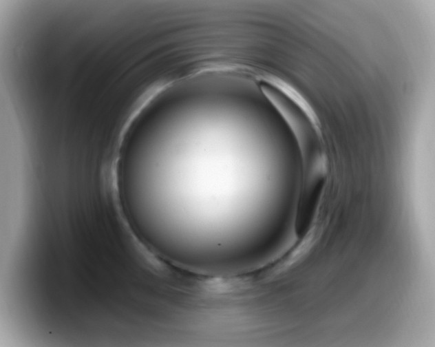 X0000099950906200805231319