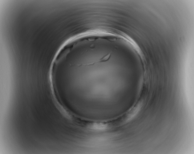 X0000099950907200805231319
