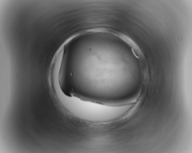 X0000099950908200805231319