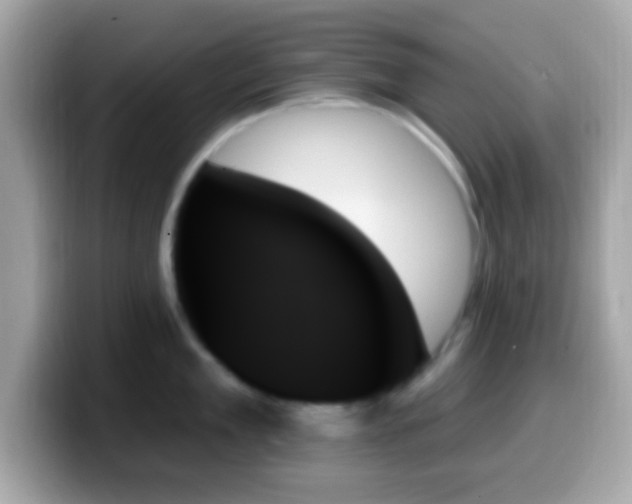 X0000099950909200805231319
