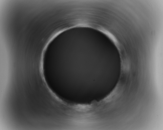 X0000099950910200805231319
