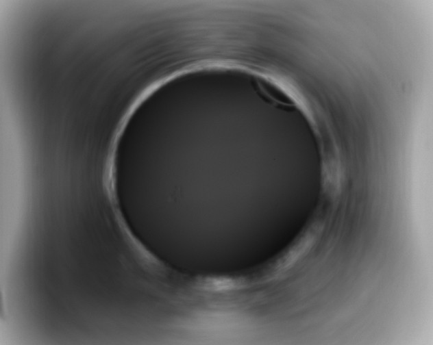 X0000099950911200805231319