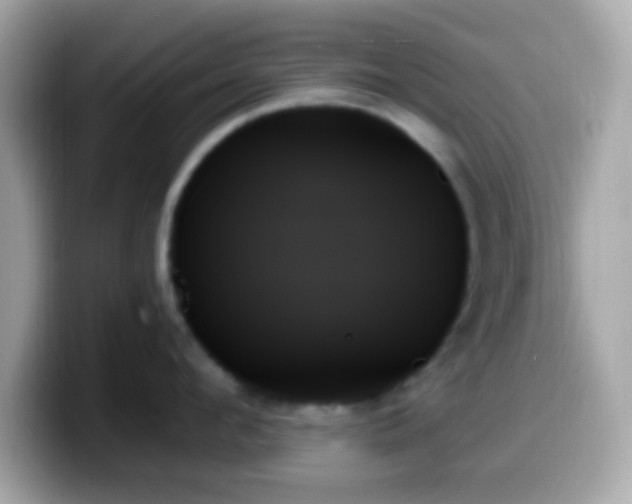 X0000099950912200805231319