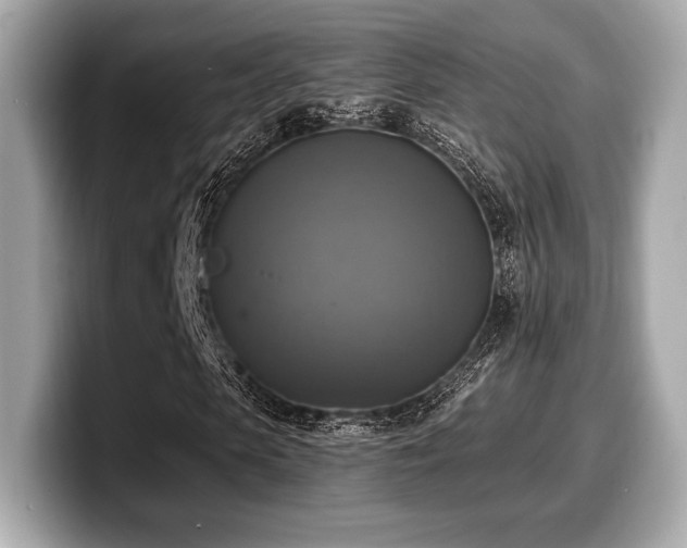 X0000099950913200805231318