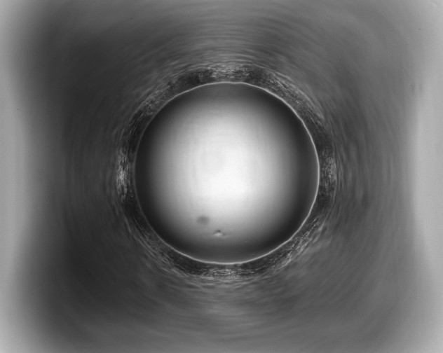 X0000099950914200805231318