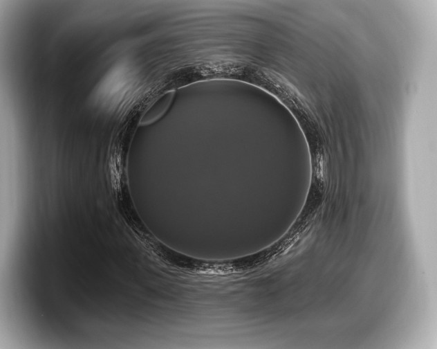 X0000099950915200805231318