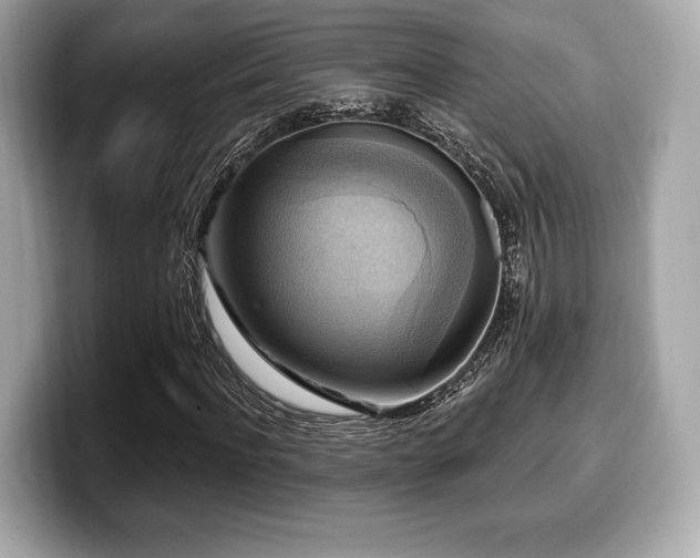 X0000099950916200805231318