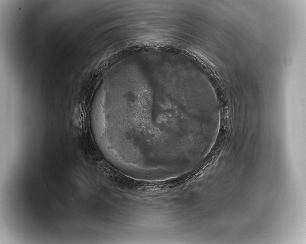 X0000099950917200805231318