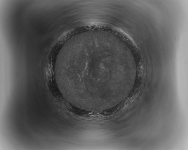 X0000099950918200805231318