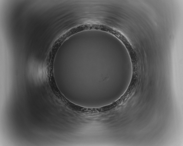 X0000099950919200805231318