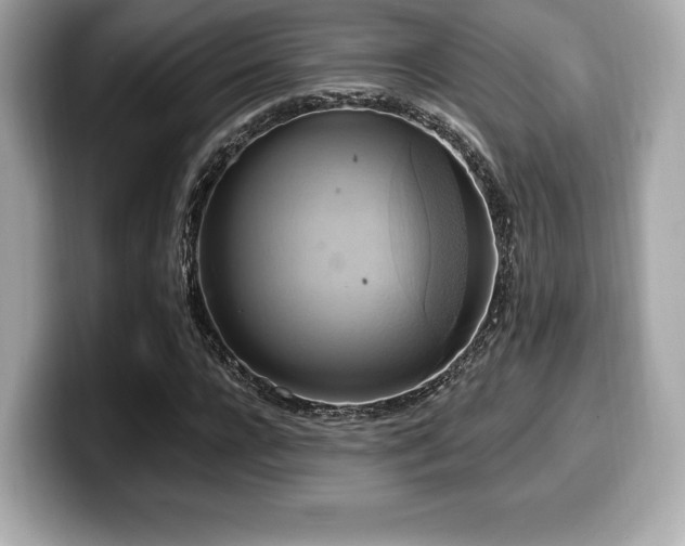 X0000099950920200805231318