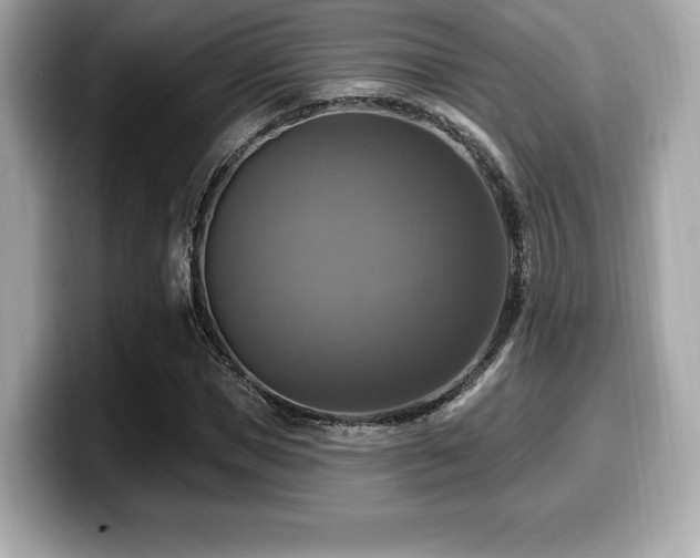 X0000099950921200805231318