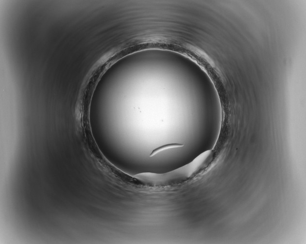X0000099950922200805231318