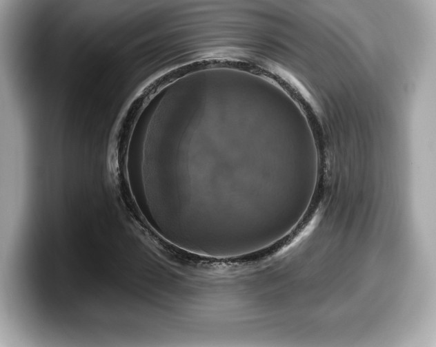 X0000099950923200805231318