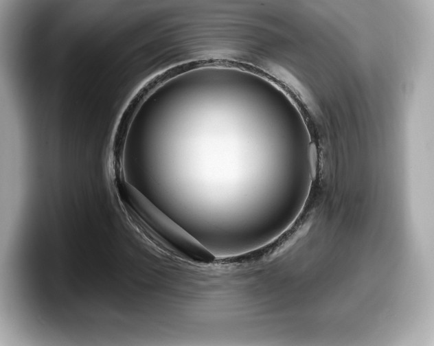 X0000099950924200805231319