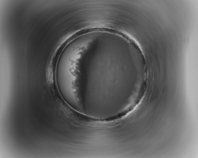 X0000099950925200805231319