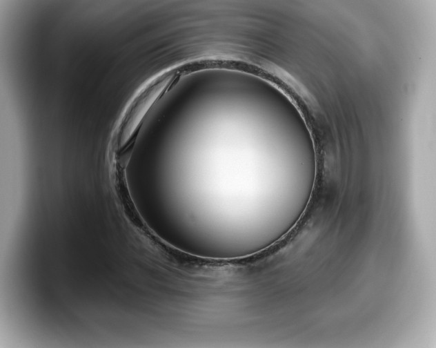 X0000099950926200805231319