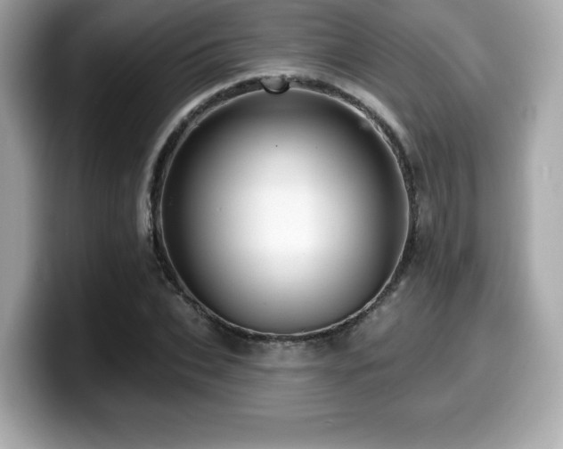 X0000099950927200805231319
