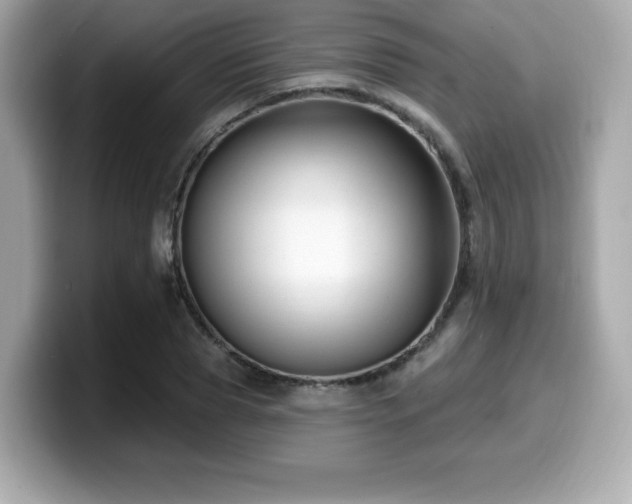 X0000099950929200805231319