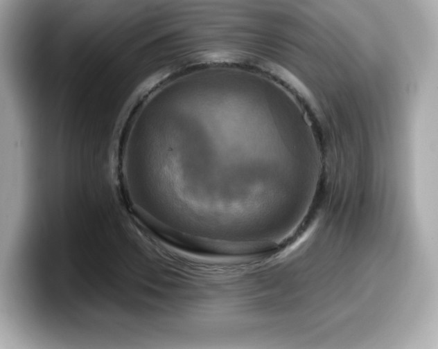 X0000099950930200805231319