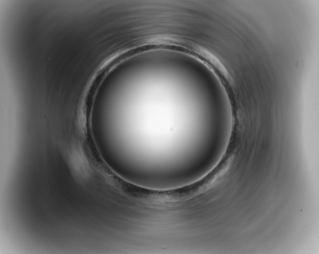 X0000099950931200805231319