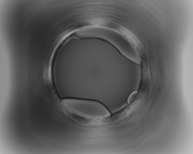 X0000099950932200805231319