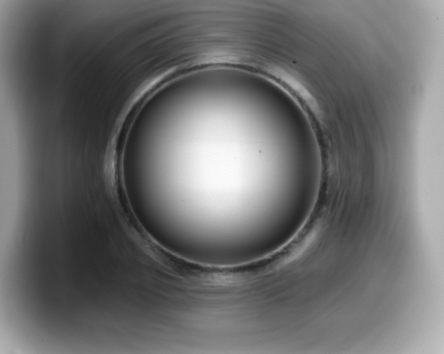 X0000099950933200805231319