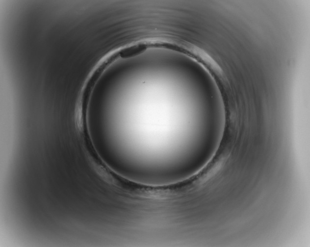X0000099950934200805231319