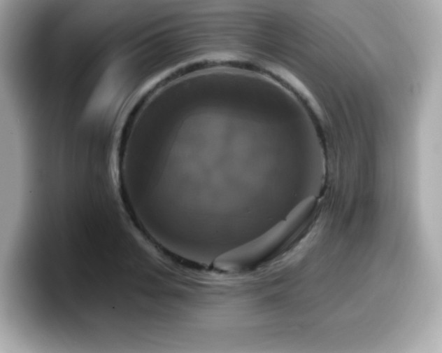 X0000099950935200805231319
