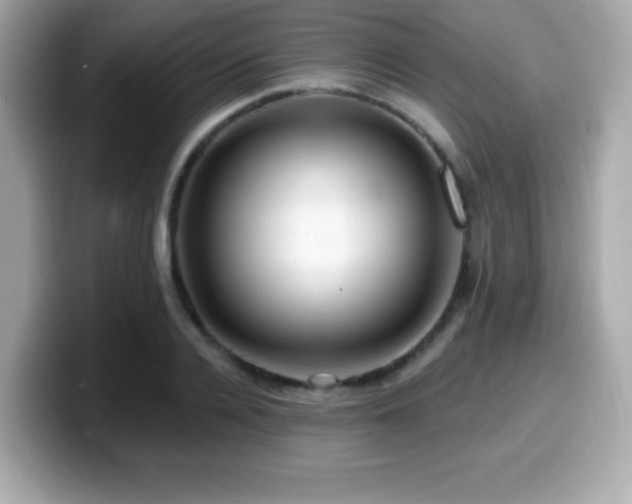 X0000099950936200805231319