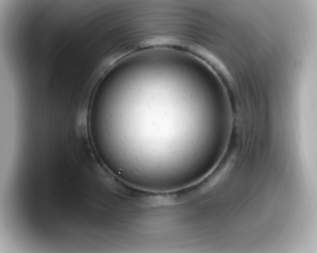 X0000099950937200805231319