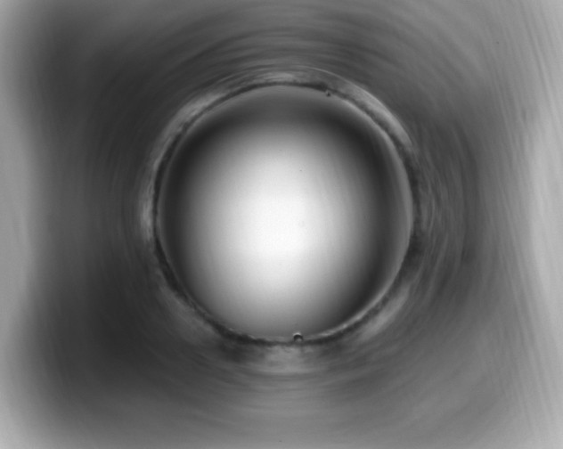 X0000099950938200805231319