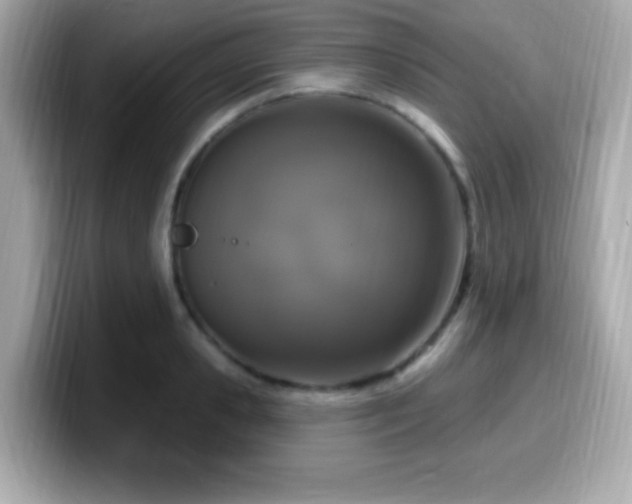 X0000099950941200805231319