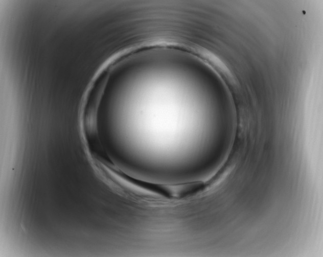 X0000099950942200805231319