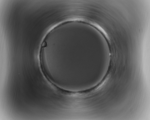 X0000099950943200805231319
