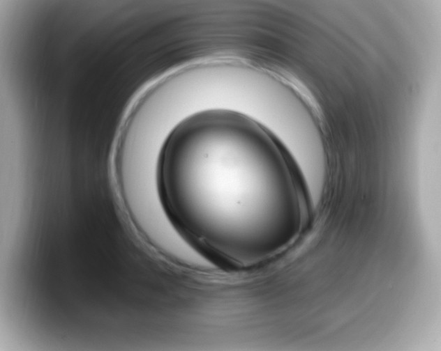 X0000099950944200805231319