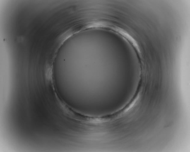 X0000099950945200805231319