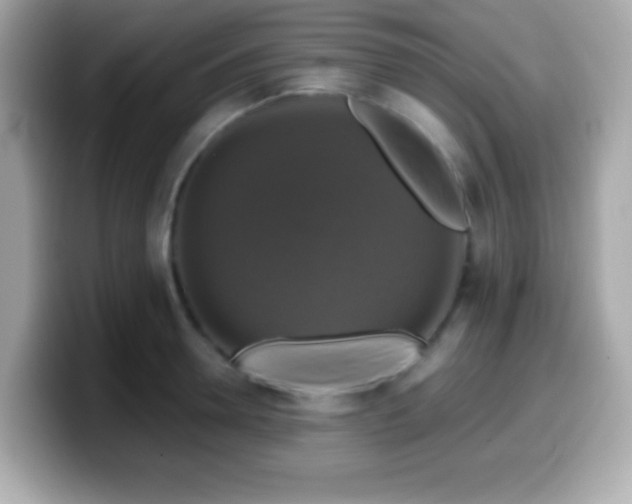 X0000099950946200805231319
