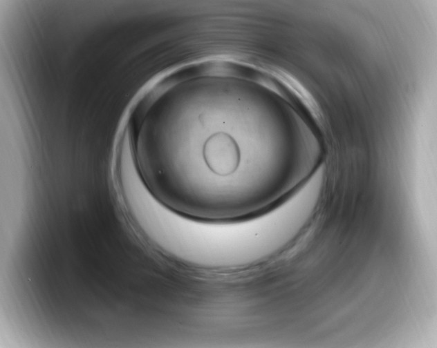 X0000099950948200805231319
