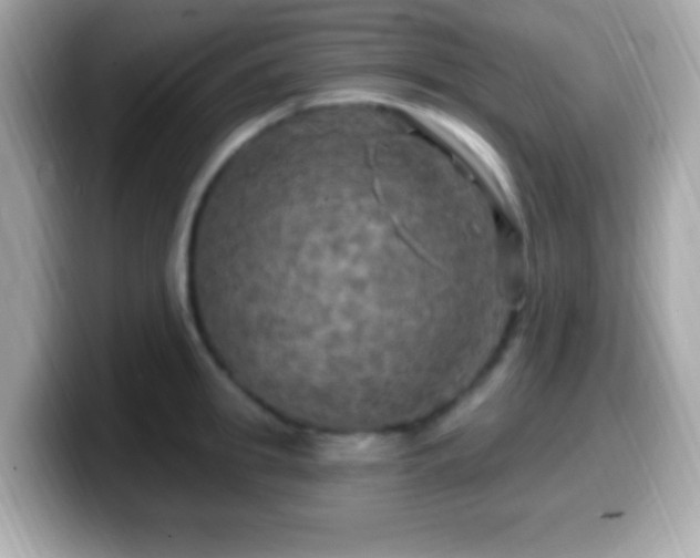 X0000099950949200805231319