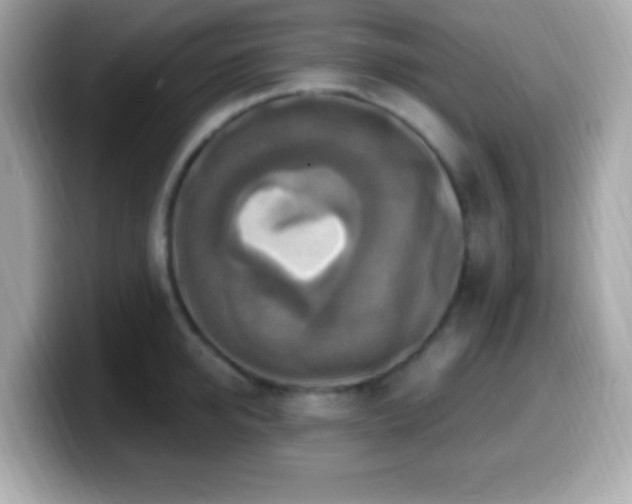 X0000099950950200805231319