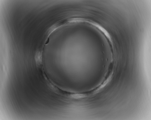 X0000099950953200805231319